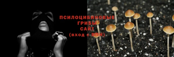 дурь Белоозёрский