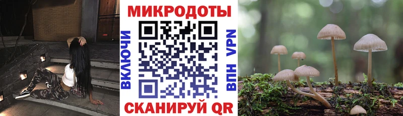 купить наркотик OMG рабочий сайт Псилоцибиновые грибы Psilocybine cubensis Тырныауз